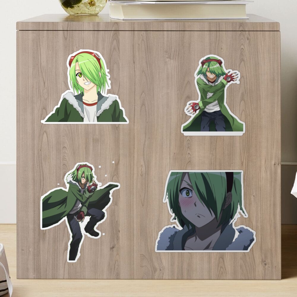  Akame Ga Kill Akame Mine Lubbock Characters Sticker for Phone,  Laptop, Skateboard, Car : Electronics