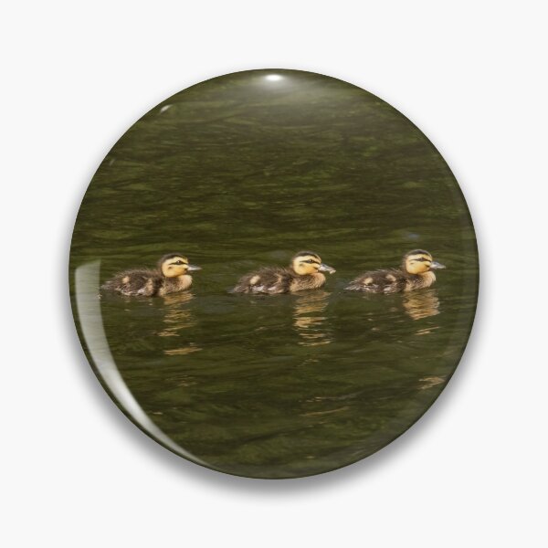 Item preview, Australian Wood ducklings designed and sold by Glenn-Smith.