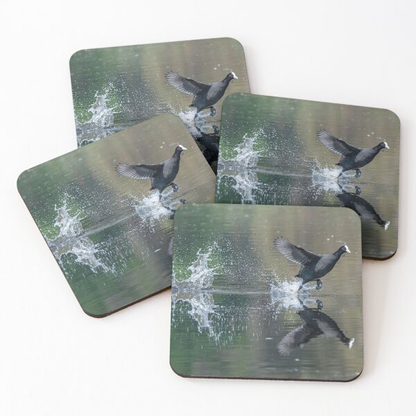 Item preview, Eurasian Coot designed and sold by Glenn-Smith.