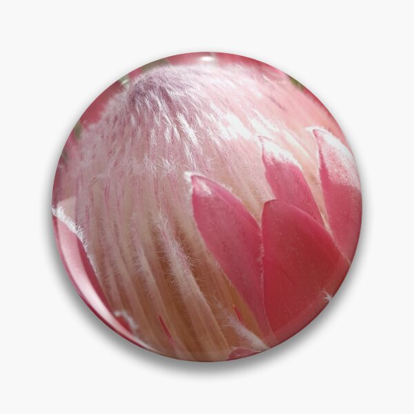 Item preview, Protea Pink designed and sold by kateabell.