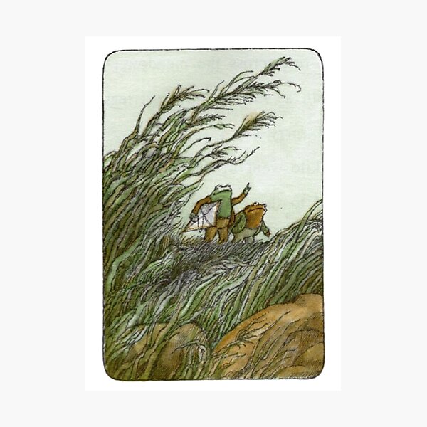 Frog and Toad Photographic Print