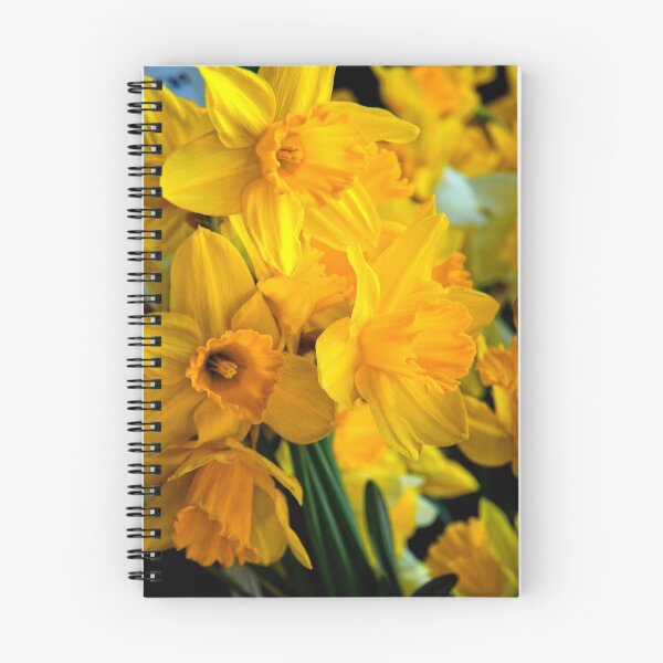 Item preview, Daffs designed and sold by Photography & Emotive Ai.