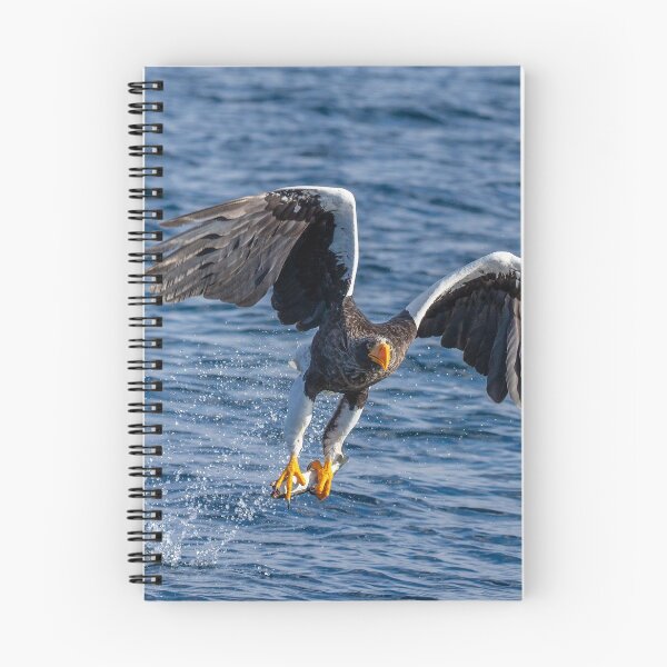Item preview, Eagle Catching Fish In Ocean designed and sold by JTS STORE.