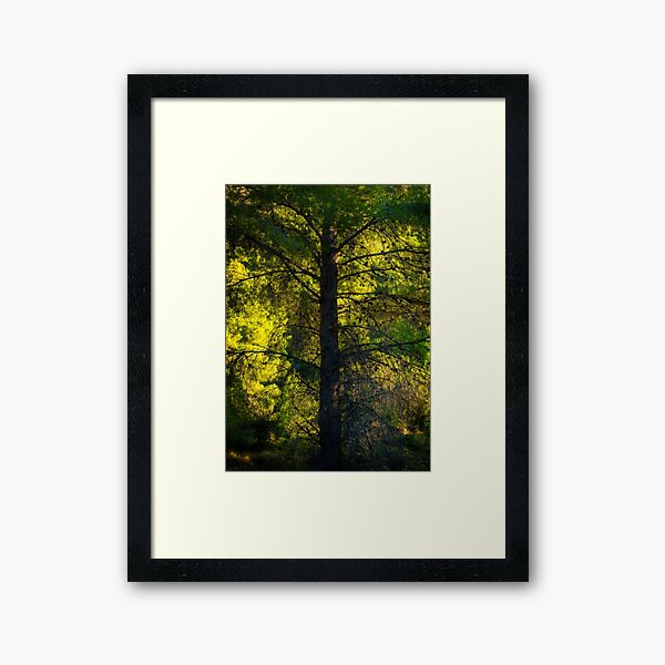 Item preview, The Glow Behind The Tree designed and sold by Ralph Goldsmith.
