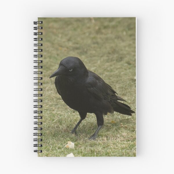 Item preview, What is this I'm seeing? designed and sold by clarkey2.