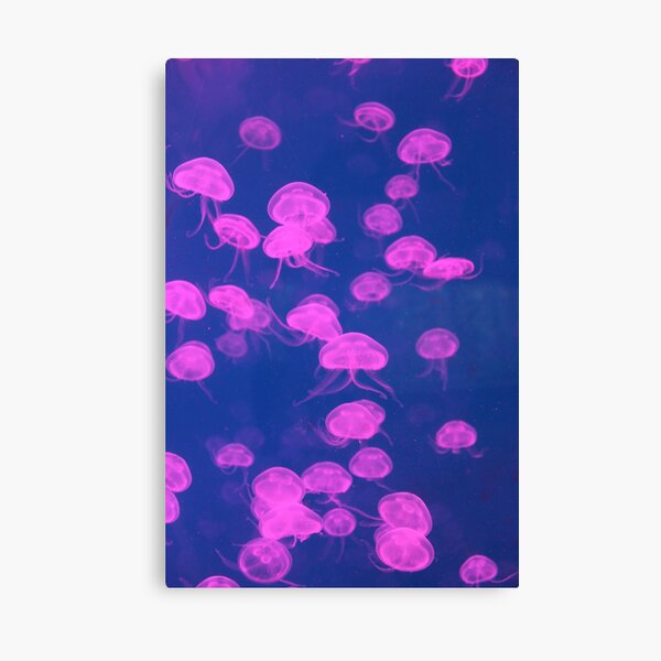 Neon Pink Jellyfish Canvas Print