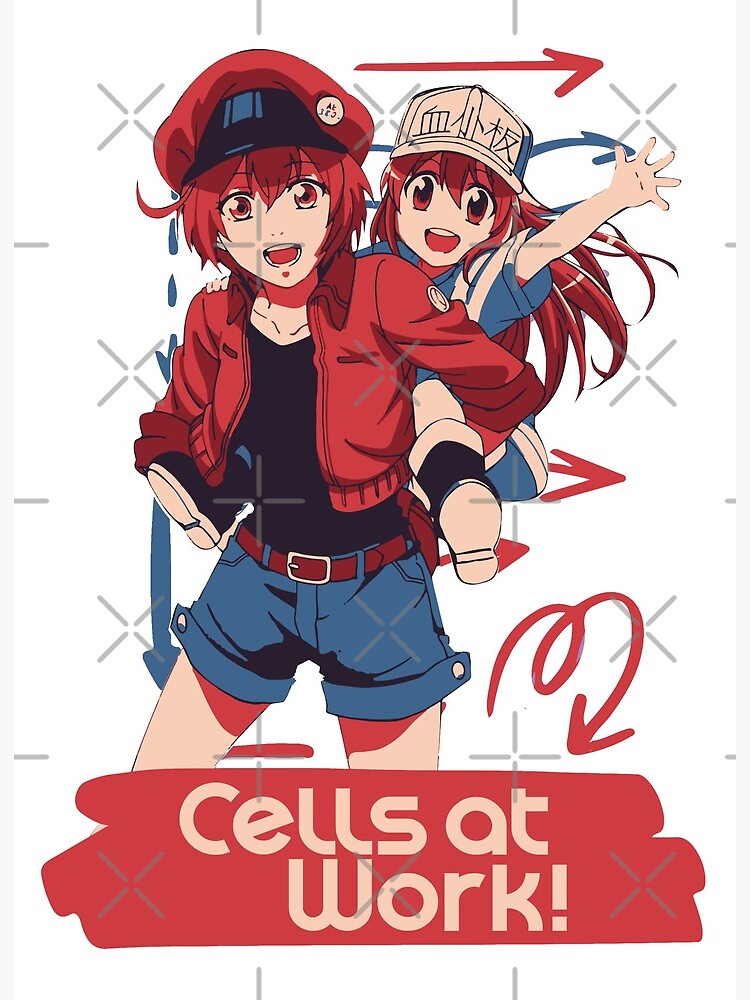 Hataraku Saibou - Cells At Work Art Board Print for Sale by CherylKato