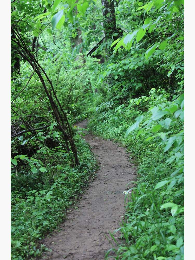 down-the-path-in-the-woods-sticker-by-babydog1962-redbubble