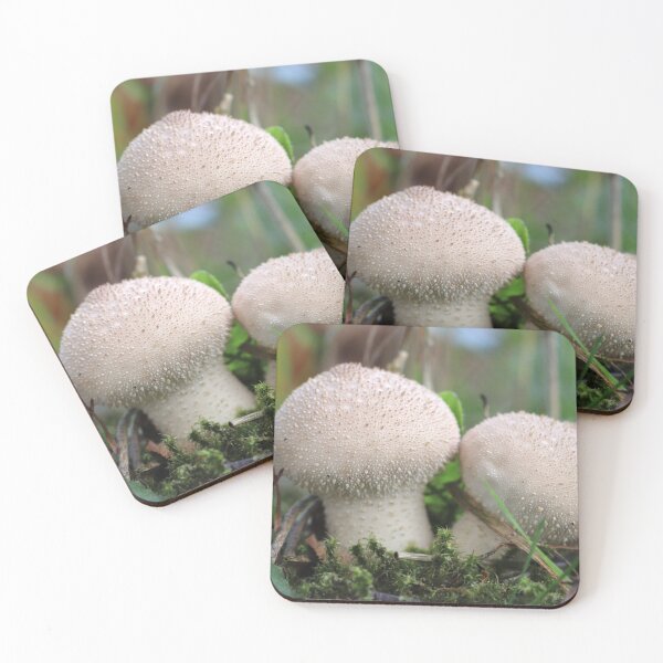 Item preview, Puffball designed and sold by cuprum.