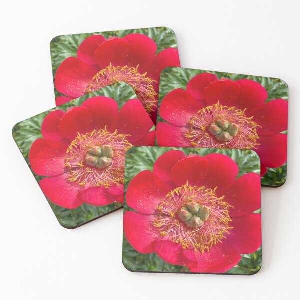 Item preview, Red beautiful flower designed and sold by Pelikancrazy.