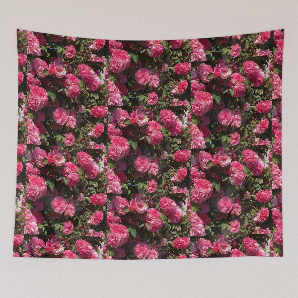 Item preview, Pink roses on a wall designed and sold by Pelikancrazy.