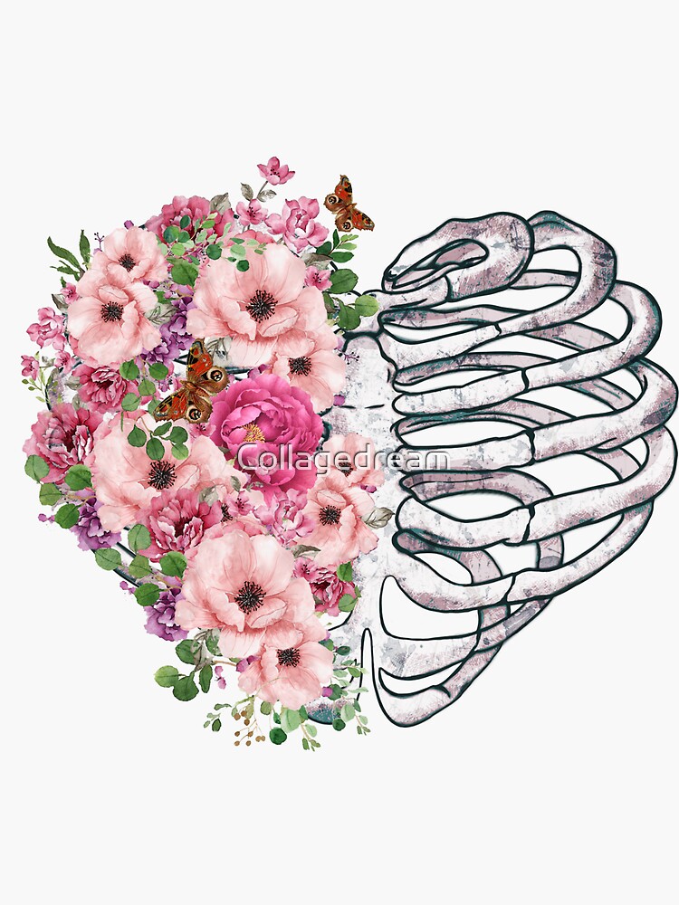 Rib Cage Heart Shape And Pink Roses Rib Cage Anatomy Heart Skeleton Ribs Sticker For Sale