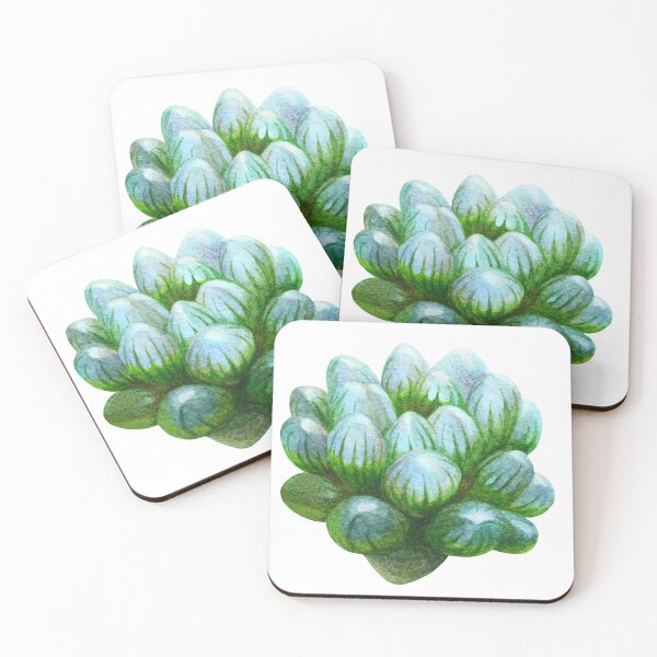 Item preview, Watercolor haworthia cooper designed and sold by sleeperr.