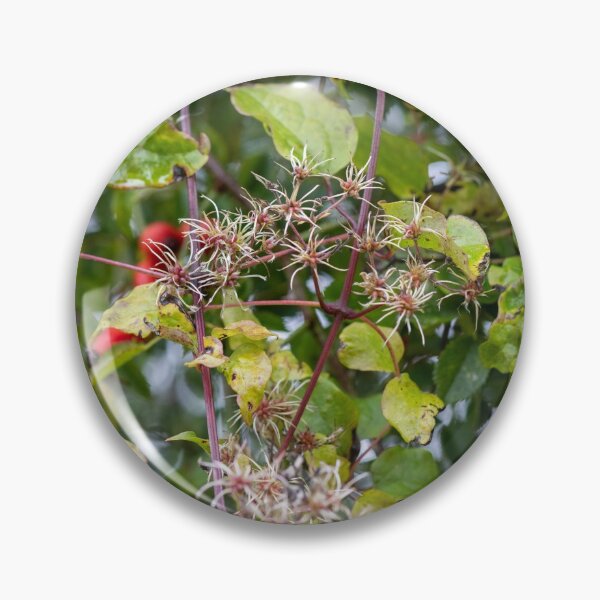 Item preview, Suffolk Hedgerow #1 designed and sold by ccullen222.