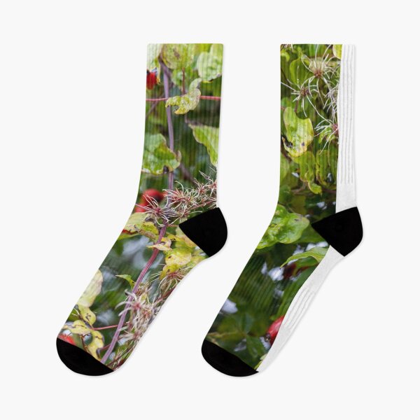 Item preview, Suffolk Hedgerow #1 designed and sold by ccullen222.