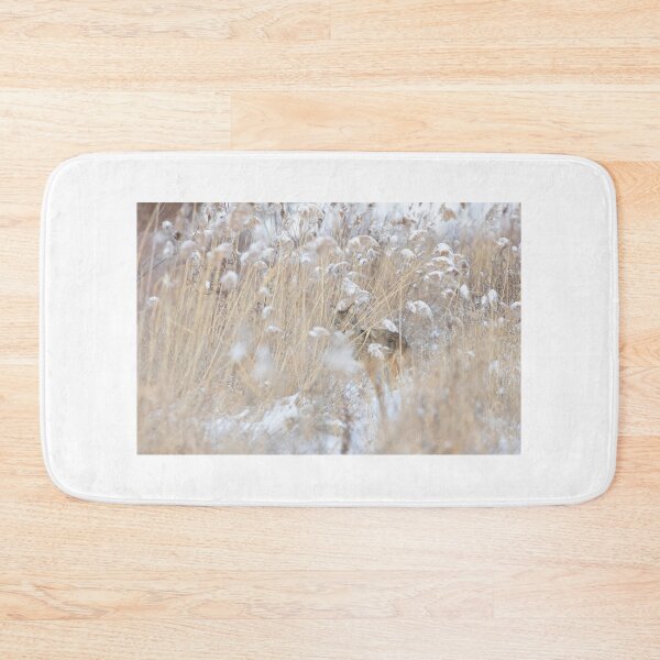 Item preview, Coyote hiding in the thicket designed and sold by James Cumming.