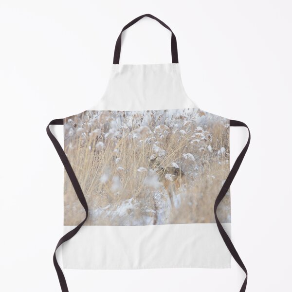 Item preview, Coyote hiding in the thicket designed and sold by James Cumming.