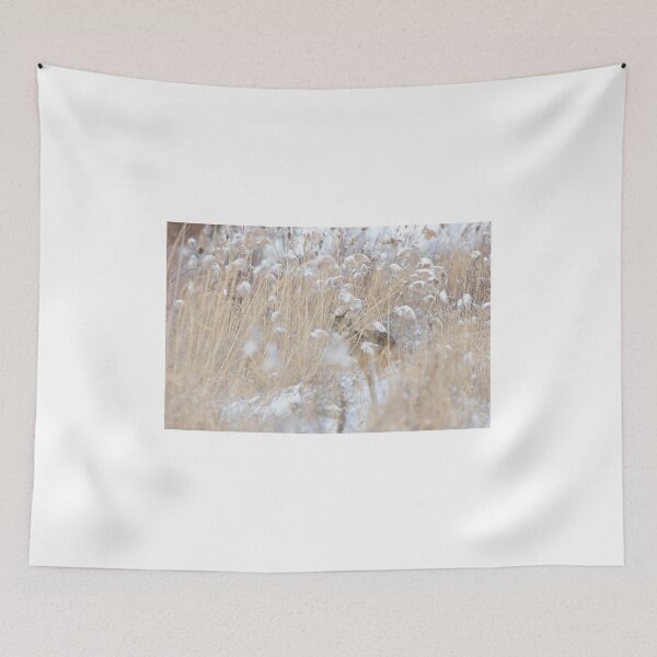 Item preview, Coyote hiding in the thicket designed and sold by James Cumming.