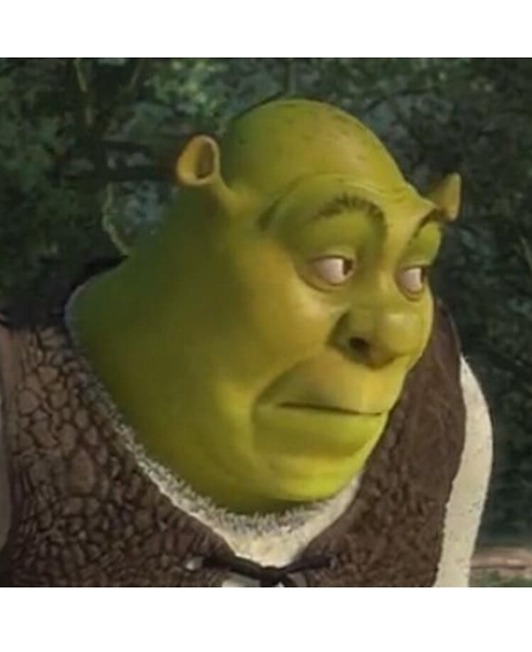 shrek drip : r/memes