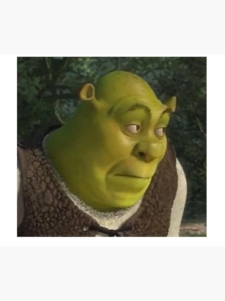 Shrek Meme Blanket Super Soft Warm Light Thin Shrek Shrek Meme