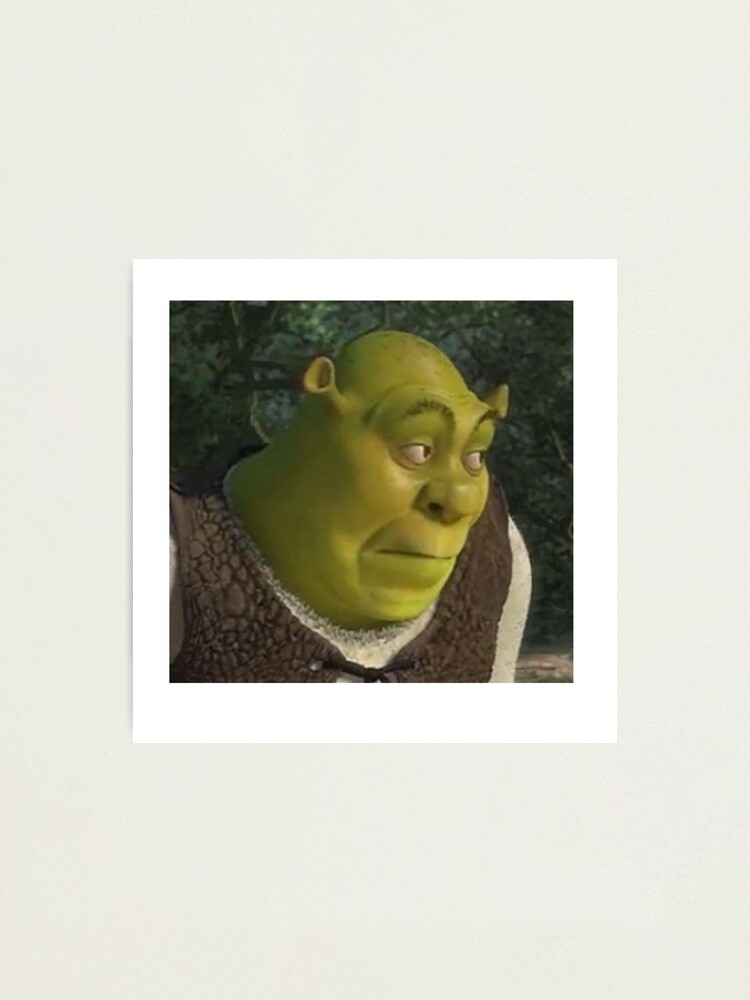 Shrek Meme Photographic Prints for Sale