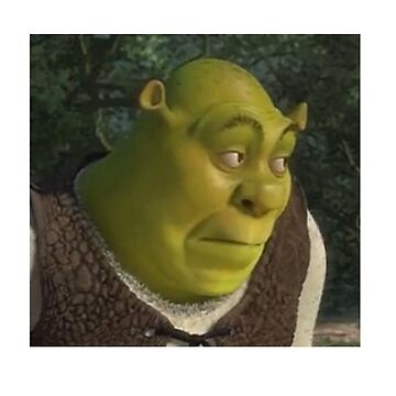 cara do shrek meme