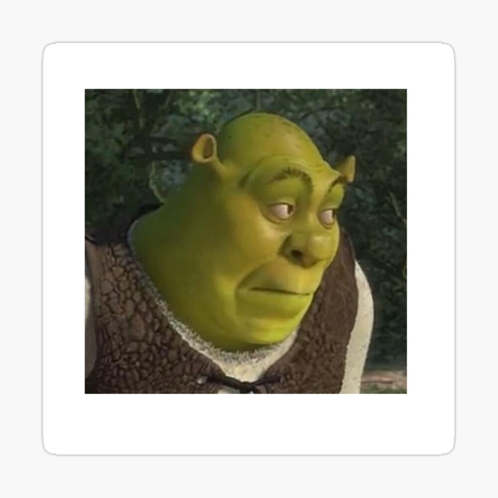 shrek drip : r/memes