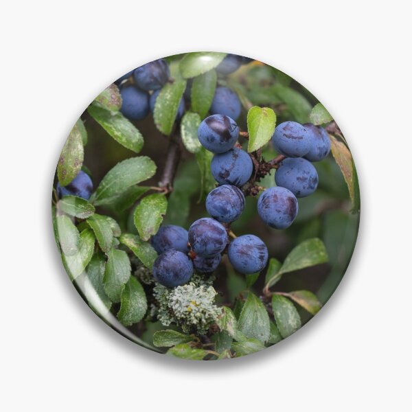 Item preview, Suffolk Hedgerow #2 designed and sold by ccullen222.
