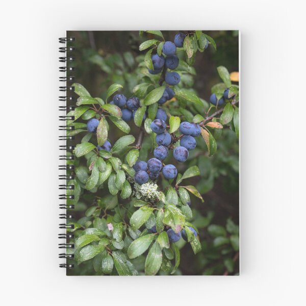 Item preview, Suffolk Hedgerow #2 designed and sold by ccullen222.