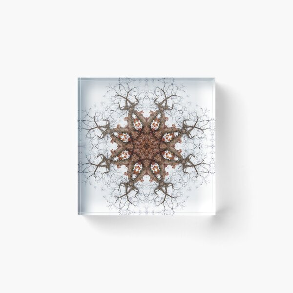 Item preview, Mandala circle. Brown mandala. Roots mandala. Wall decoration designed and sold by soniaaseguin.