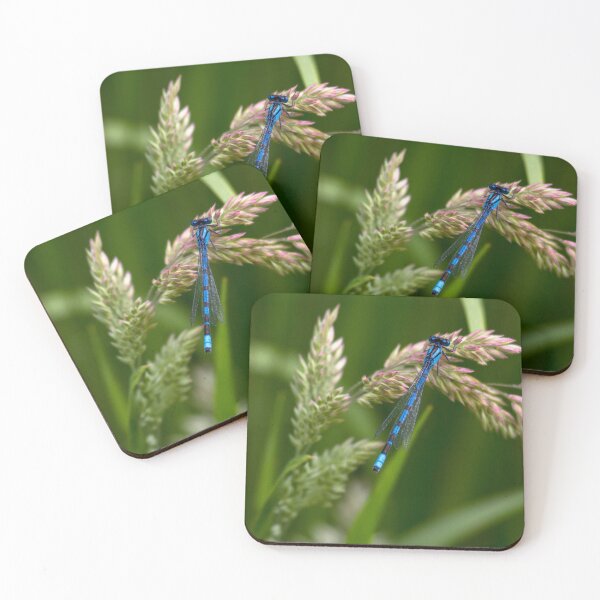 Item preview, Common Blue Damselfly designed and sold by Violaman.