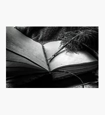 Quill and Pen Photographic Print