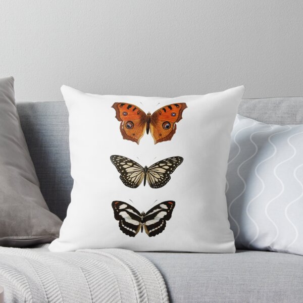 Item preview, Monarch Rapsody Vintage Moth Butterfly designed and sold by creationwitch.