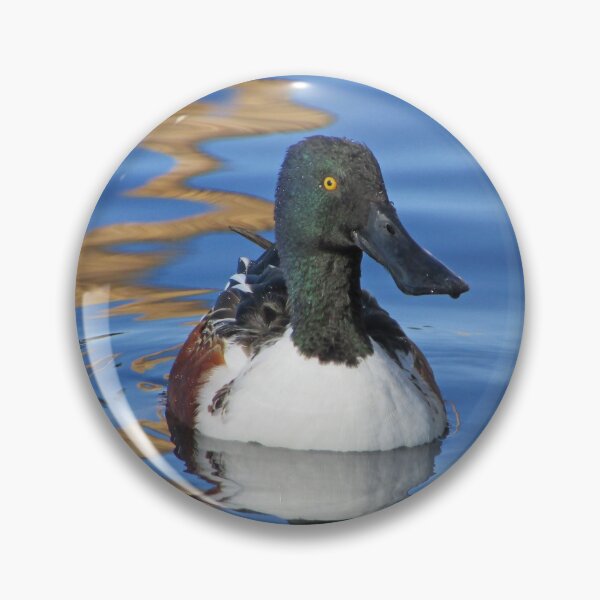 Item preview, Duck Photo Spoon Billed Duck Lake Bird designed and sold by natureinfocus.