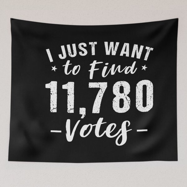 Item preview, I just want to find 11,780 votes US election designed and sold by Dream-bubble.