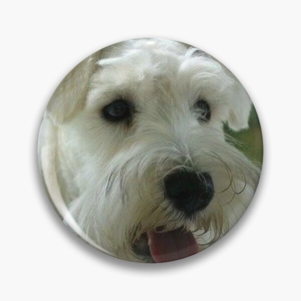 Item preview, Schnauzer dog pets dogs cute puppy designed and sold by Coolstuff4you71.