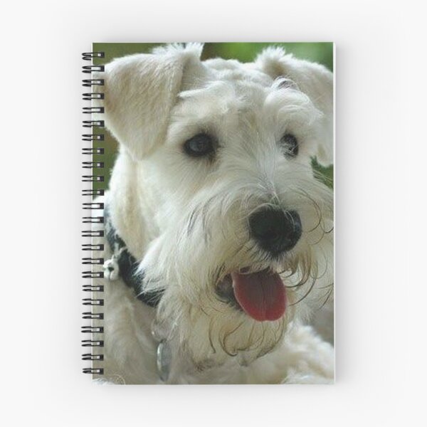 Item preview, Schnauzer dog pets dogs cute puppy designed and sold by Coolstuff4you71.