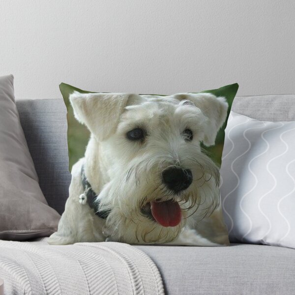 Item preview, Schnauzer dog pets dogs cute puppy designed and sold by Coolstuff4you71.