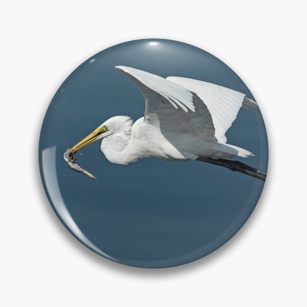 Item preview, Great Egret in Flight with Catch designed and sold by DonMc.