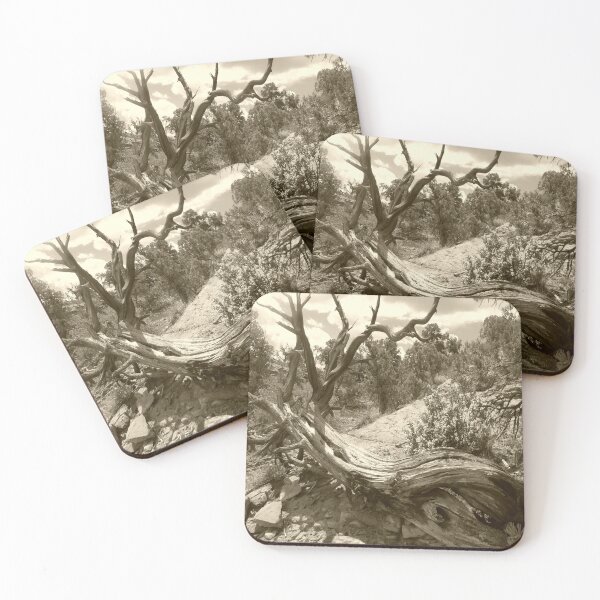 Item preview, Ancient Juniper Tree in Sepia  designed and sold by CreArtation.