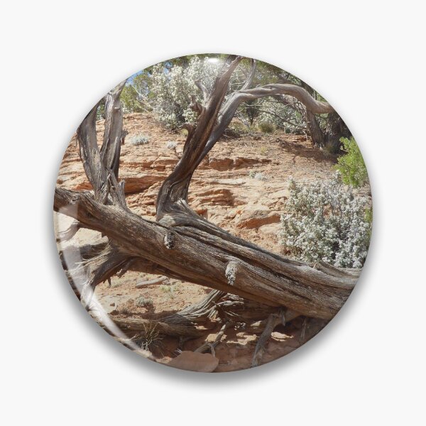Item preview,   Juniper tree deceased designed and sold by CreArtation.