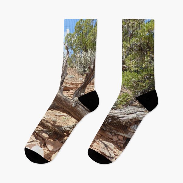 Item preview,   Juniper tree deceased designed and sold by CreArtation.