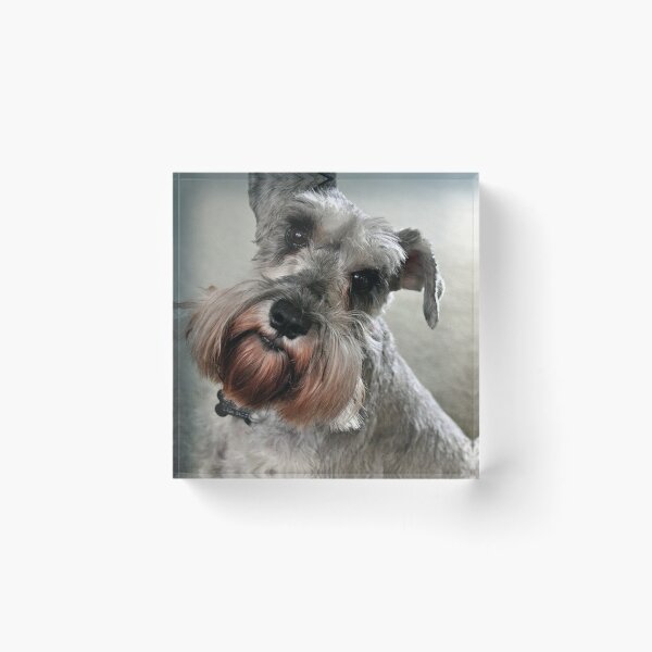 Item preview, Schnauzer dog pets dogs cute puppy designed and sold by Coolstuff4you71.