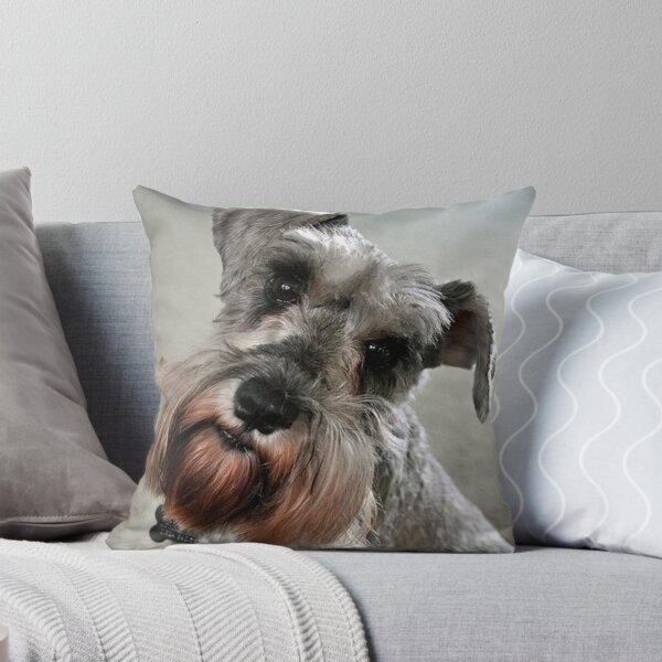 Item preview, Schnauzer dog pets dogs cute puppy designed and sold by Coolstuff4you71.