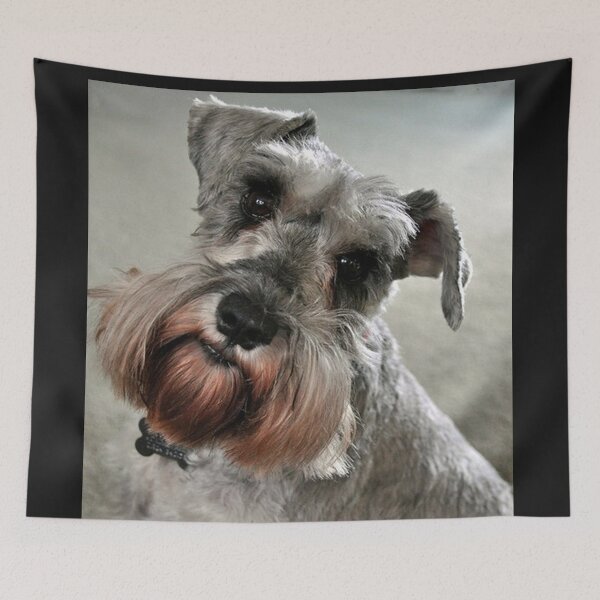 Item preview, Schnauzer dog pets dogs cute puppy designed and sold by Coolstuff4you71.