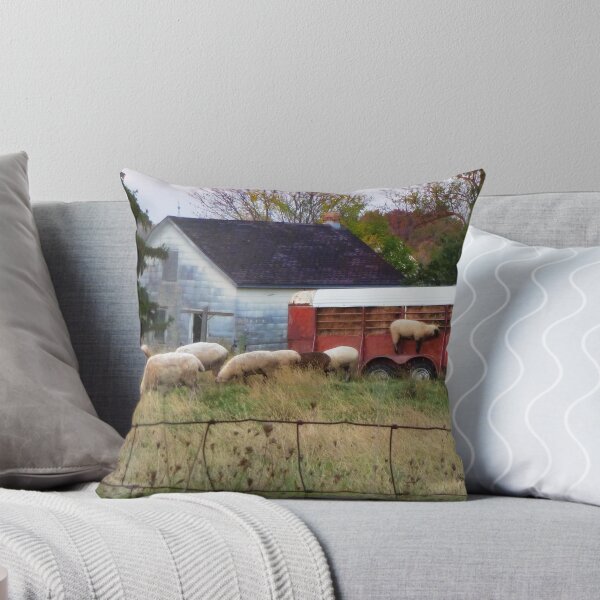 Item preview, What Goes Up Must Come Down: But How? designed and sold by Claude Johnson.