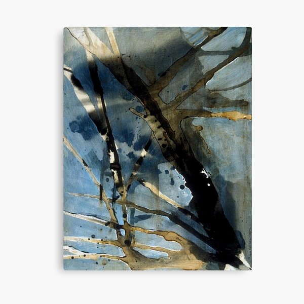 Satyre's Window Canvas Print