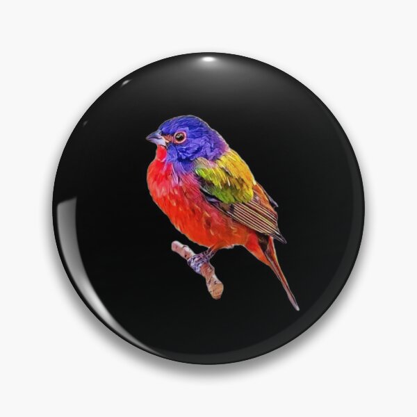 Item preview, Male Painted Bunting designed and sold by DonnaM.
