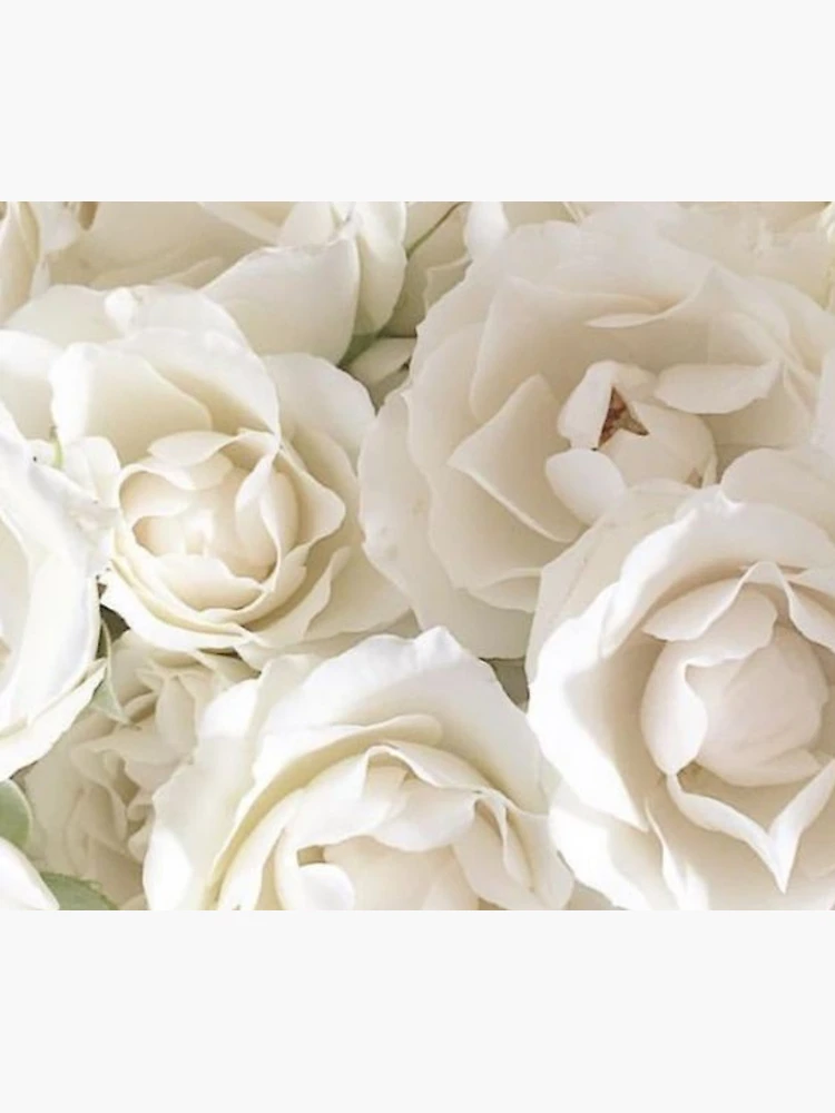 Thumbnail 6 of 6, Throw Blanket, White Roses designed and sold by KookDesignZ.