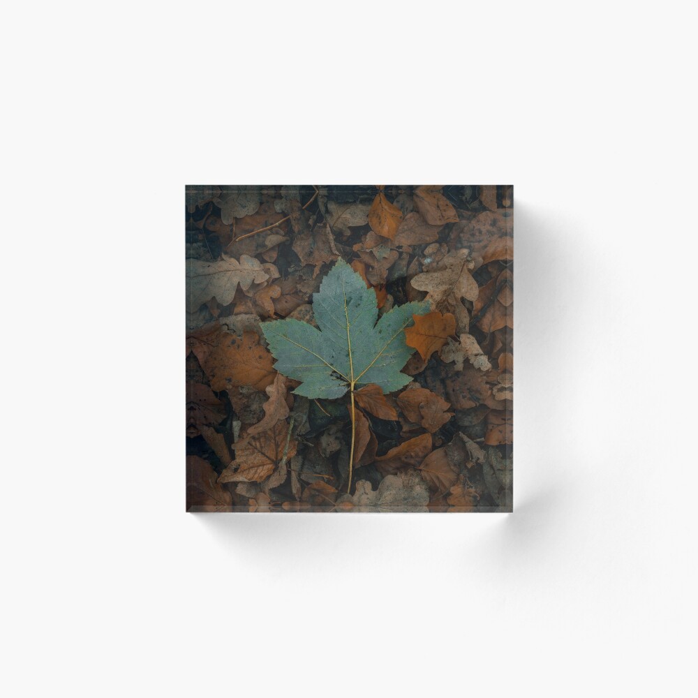 Item preview, Acrylic Block designed and sold by PrintedDesign.